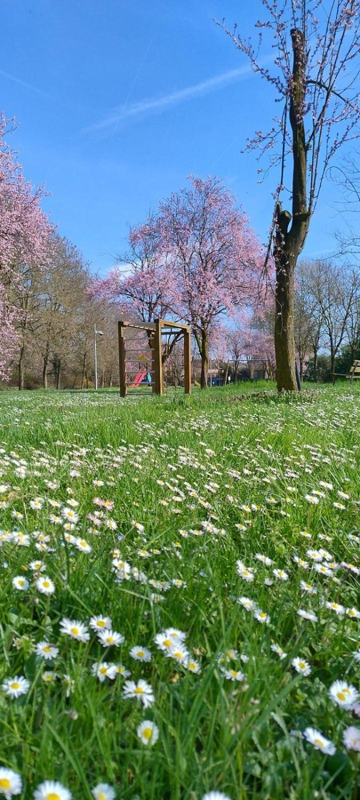 Shanti Ca' Casa Indipendente Con Giardino Lacchiarella Bagian luar foto