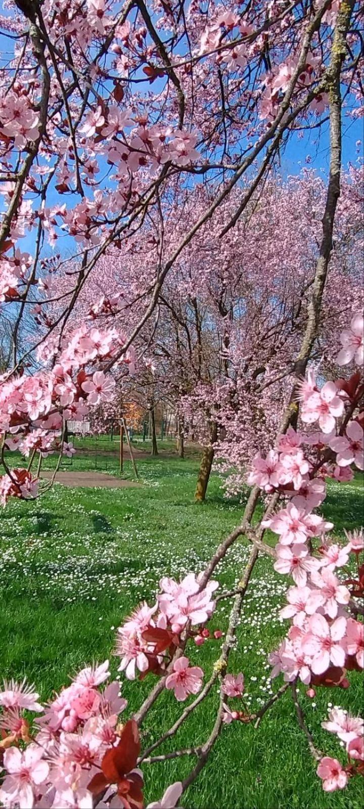 Shanti Ca' Casa Indipendente Con Giardino Lacchiarella Bagian luar foto