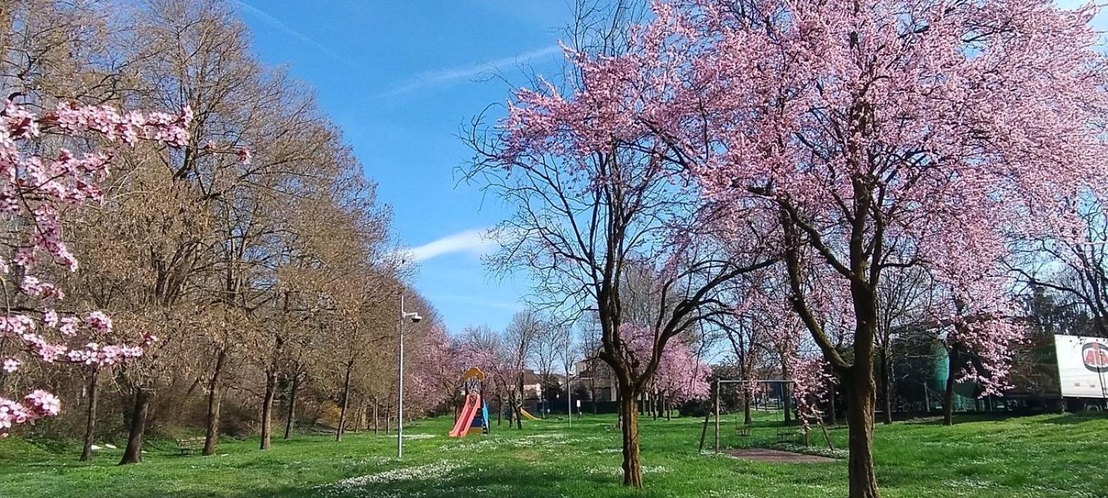 Shanti Ca' Casa Indipendente Con Giardino Lacchiarella Bagian luar foto